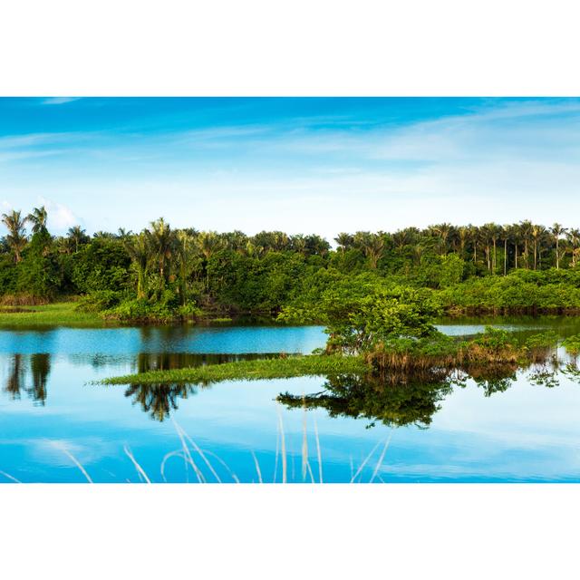 The Amazon Wetland In Brazil by Filipefrazao - Print Alpen Home Size: 81cm H x 122cm W on Productcaster.