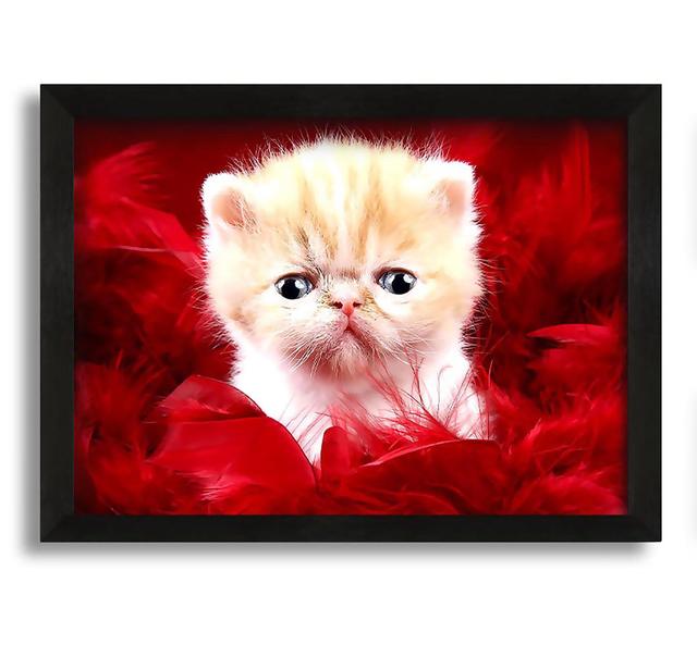 Precious Cute Love - Picture Frame Photograph on Canvas Latitude Run Size: 42cm H x 60cm W x 10cm D on Productcaster.