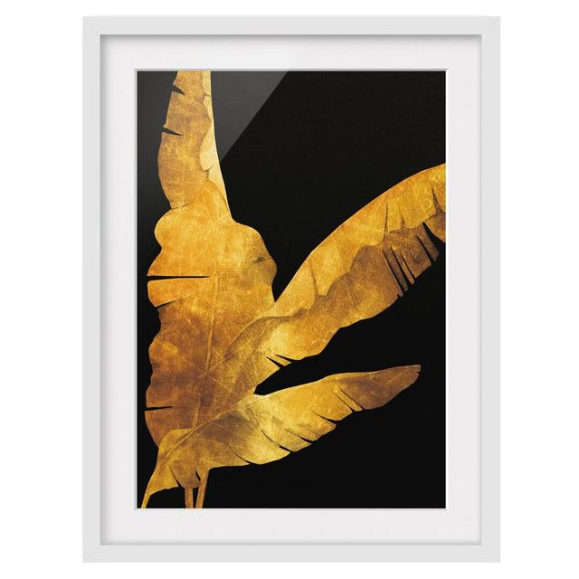 Gold - Banana Palm on Black - Picture Frame Graphic Art Bay Isle Home Frame Option: White Framed, Size: 55cm H x 40cm W x 2cm D on Productcaster.