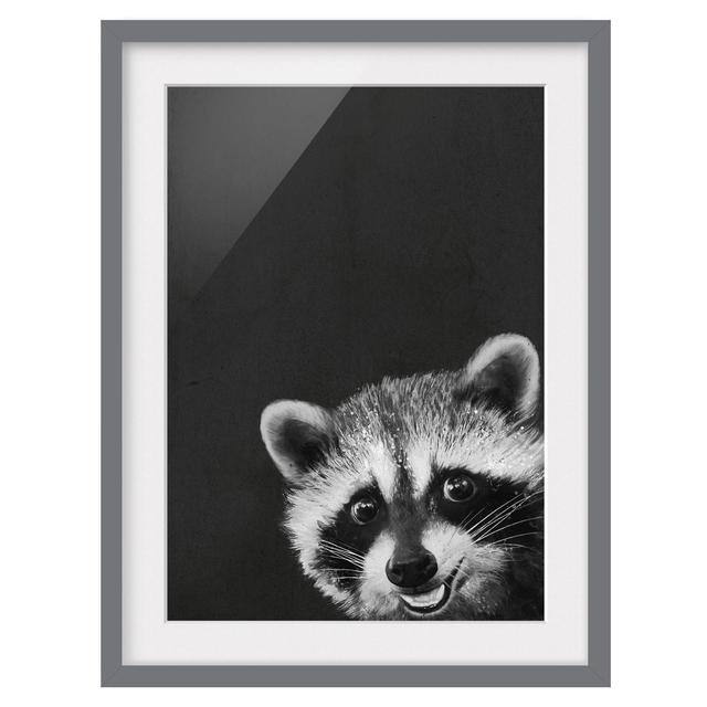 Illustration Raccoon Black White - Picture Frame Graphic Art Rosalind Wheeler Size: 100cm H x 70cm W x 2cm D, Frame Option: Grey Framed on Productcaster.