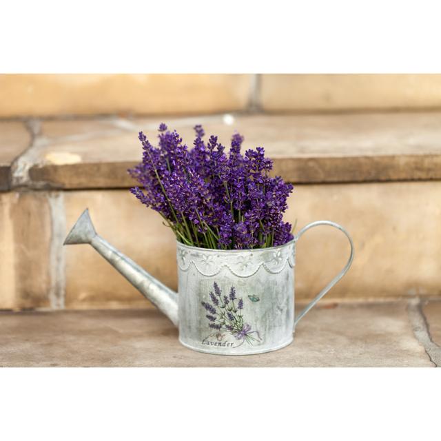 Watering Can and Lavender by Wjarek - Wrapped Canvas Photograph 17 Stories Size: 81cm H x 122cm W on Productcaster.