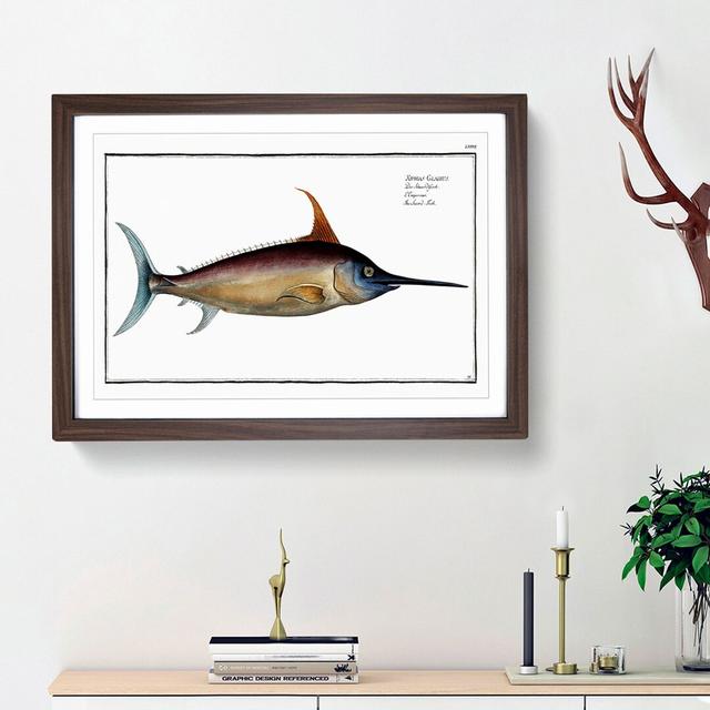 Swordfish - Picture Frame Art Prints East Urban Home Frame Option: Walnut Framed, Size: 48cm H x 65cm W x 2cm D on Productcaster.