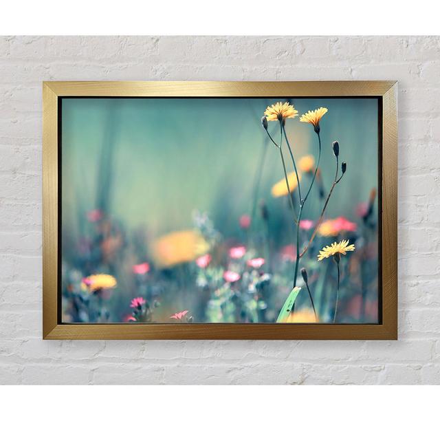 Dandelion Garden - Single Picture Frame Art Prints Bright Star Size: 42cm H x 59.7cm W x 3.4cm D on Productcaster.