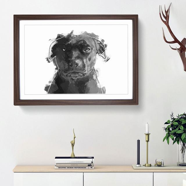 Staffordshire Bull Terrier Dog in Abstract - Picture Frame Graphic Art Print East Urban Home Frame Option: Walnut Framed, Size: 36cm H x 48cm W x 2cm on Productcaster.