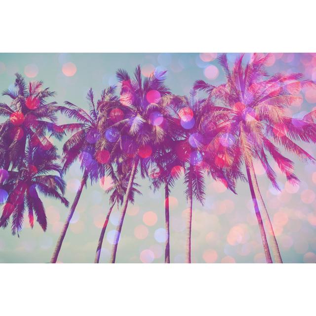 Palm Trees by Nevodka - Wrapped Canvas Photograph Bay Isle Home Size: 51cm H x 76cm W x 3.8cm D on Productcaster.