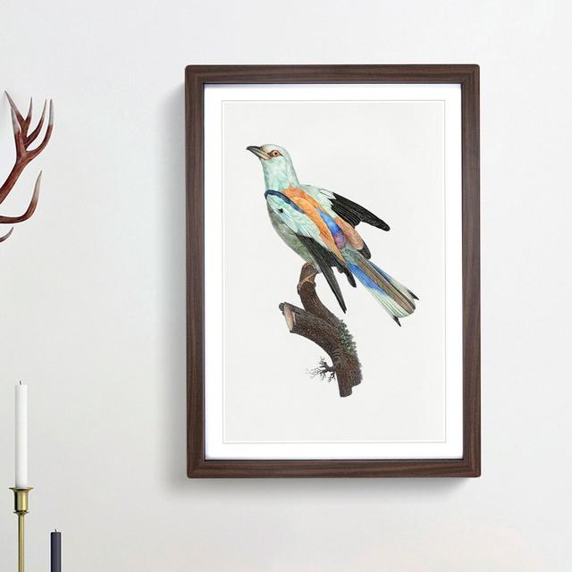 Abyssinian Roller Bird by Jacques Barraband - Picture Frame Painting Print on Paper East Urban Home Frame Option: Walnut Framed, Size: 63cm H x 45cm W on Productcaster.