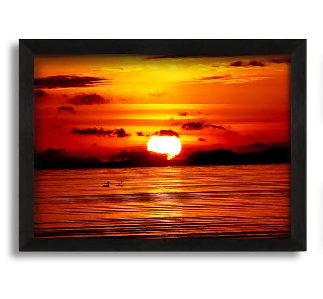 Swans On The Orange Ocean Reflection Framed Print Highland Dunes Size: 30cm H x 42cm W x 10cm D on Productcaster.