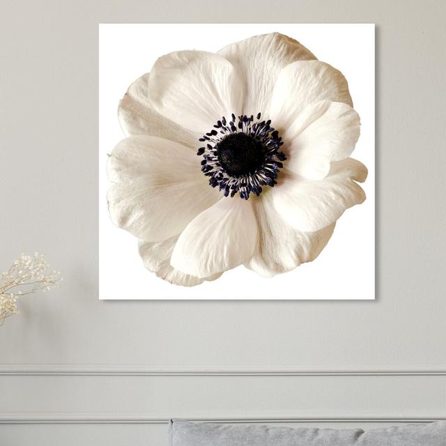 White Floral - Wrapped Canvas Print East Urban Home Size: 40.6 cm H x 40.6 cm W x 3.8 cm D on Productcaster.