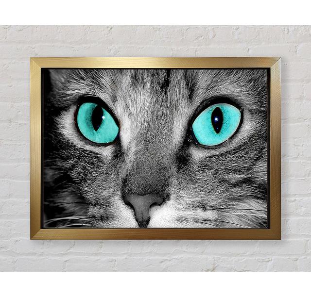 Close Up Of A Grey Tabby Cat Face - Single Picture Frame Art Prints Bright Star Size: 59.7cm H x 84.1cm W x 3.4cm D on Productcaster.