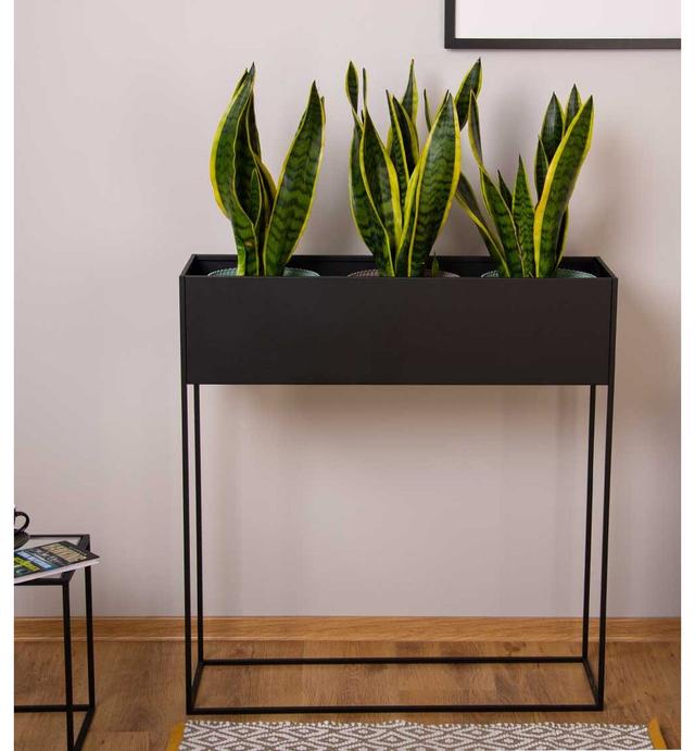 Crisha Rectangular Pedestal Plant Stand Ebern Designs Colour: Black, Size: 85cm H x 80cm L x 25cm D on Productcaster.