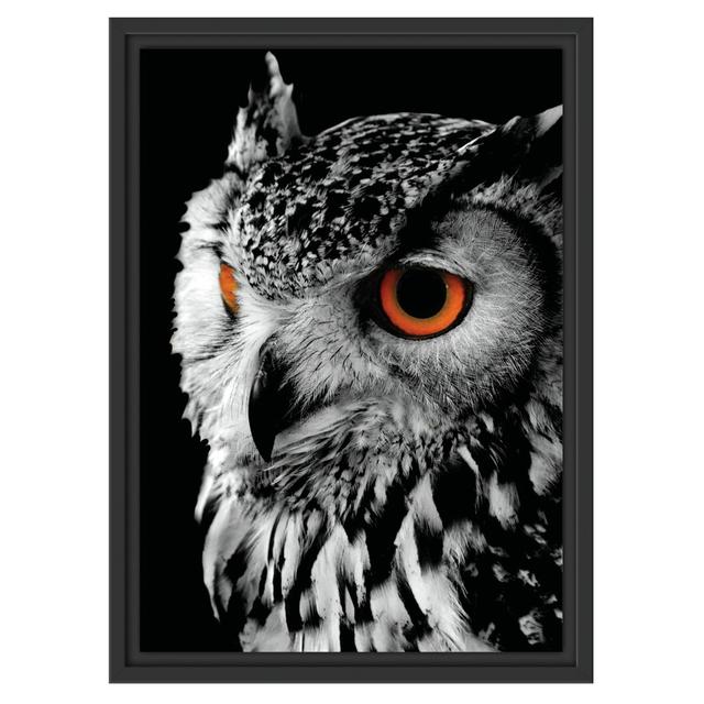 Gerahmtes Wandbild Dark Eule mit orangen Augen East Urban Home Größe: 55 cm H x 40 cm B on Productcaster.