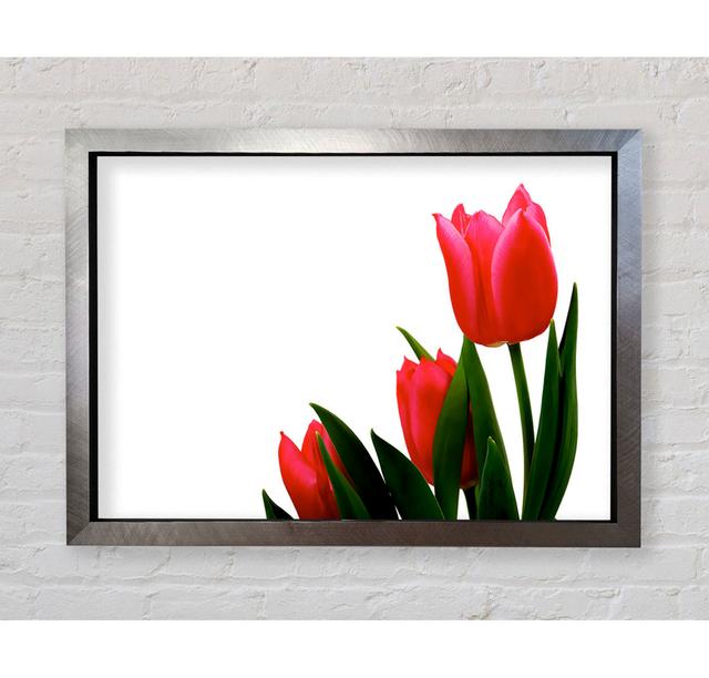 Pink Tulip Trio - Single Picture Frame Art Prints Bright Star Size: 100.1cm H x 141.4cm W x 3.4cm D on Productcaster.