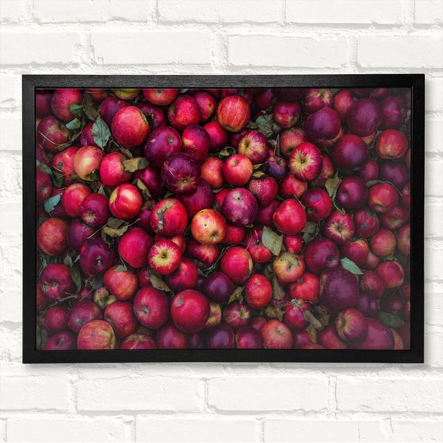 Collection Of Apples - Closed Corner Frame Art Prints on Wood Latitude Run Size: 21cm H x 29.7cm W on Productcaster.