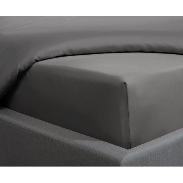 Marone 300 Thread Count 100% Cotton Sateen Fitted Sheet Ebern Designs Size: Single (3'), Colour: Chorcoal on Productcaster.