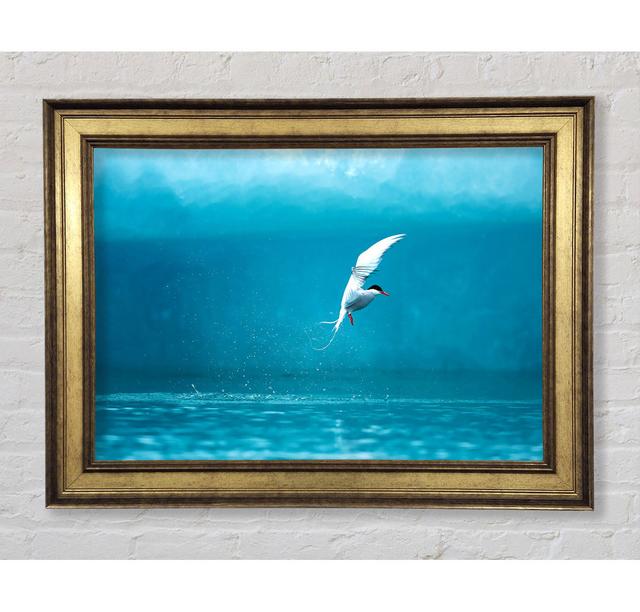 Single Picture Frame Art Prints Bright Star Size: 100cm H x 141.4cm W on Productcaster.