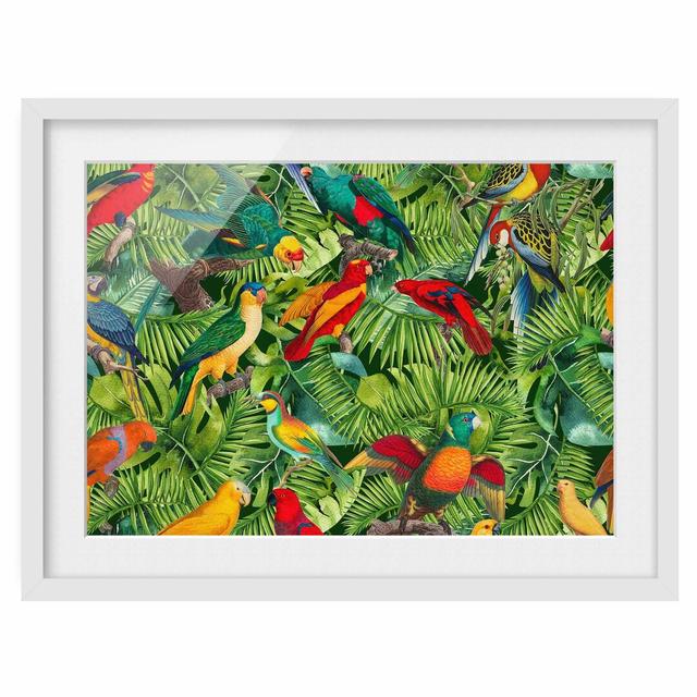 Colourful Collage - Parrots in the Jungle - Picture Frame Graphic Art Bay Isle Home Size: 30cm H x 40cm W x 2cm D, Frame Option: White on Productcaster.