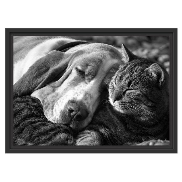 Gerahmtes Wandbild Katze und Hund kuschelnd Kunst B&W East Urban Home Größe: 40 cm H x 55 cm B on Productcaster.