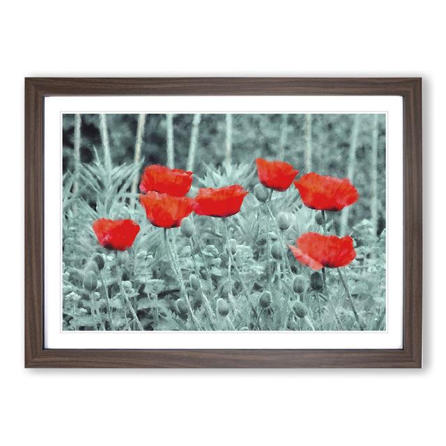 Field of Poppies Vol.4 - Picture Frame Graphic Art East Urban Home Size: 48cm H x 65cm W x 2cm D, Frame Option: Walnut Framed on Productcaster.