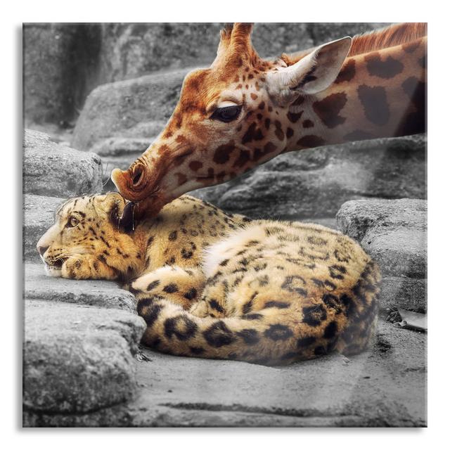 Leopard And Giraffe - No Frame Print on Glass Ebern Designs Size: 60cm H x 60cm W x 0.4cm D on Productcaster.