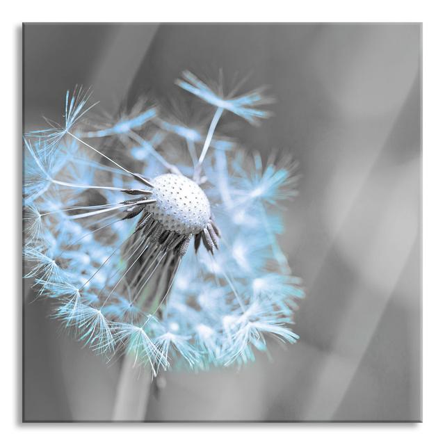 Beautiful White Dandelion - Unframed Photograph on Glass Brayden Studio Size: 60cm H x 60cm W x 0.4cm D on Productcaster.