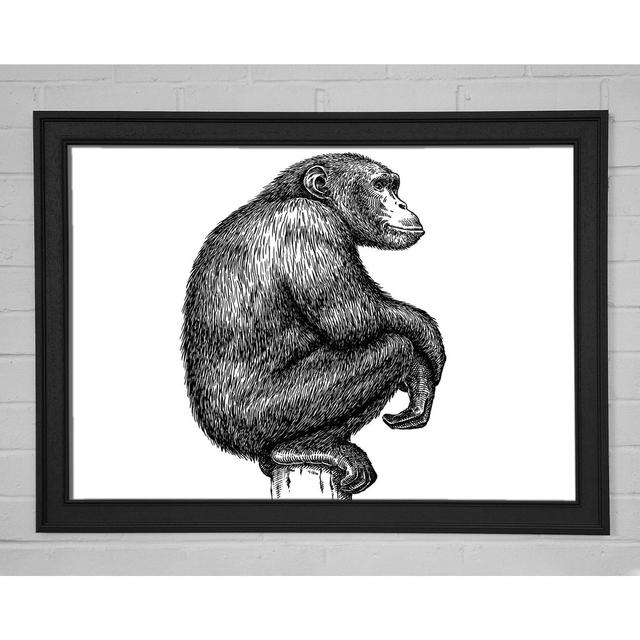 Chimpanzee Sitting - Single Picture Frame Art Prints Bloomsbury Market Size: 21cm H x 29.7cm W x 1.5cm D, Format: Grey Paper Framed on Productcaster.