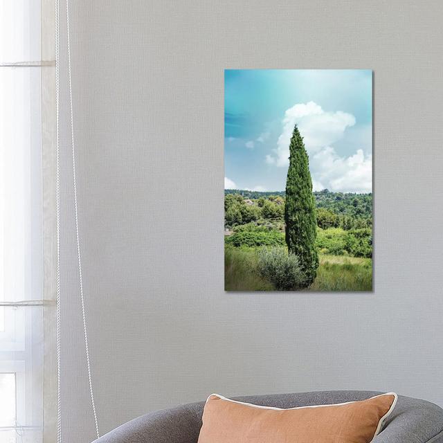 France Provence Tree by Alexandre Venancio - Wrapped Canvas Gallery-Wrapped Canvas Giclée Alpen Home Size: 66.04cm H x 45.72cm W x 1.905cm D on Productcaster.