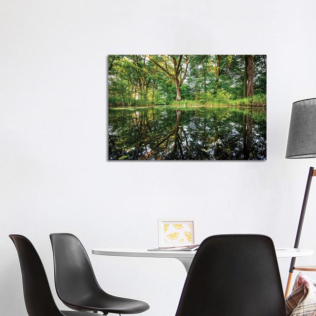 Fairy Tale Forest by Mateusz Piesiak - Wrapped Canvas Print Alpen Home Size: 66.04cm H x 101.6cm W x 1.905cm D on Productcaster.