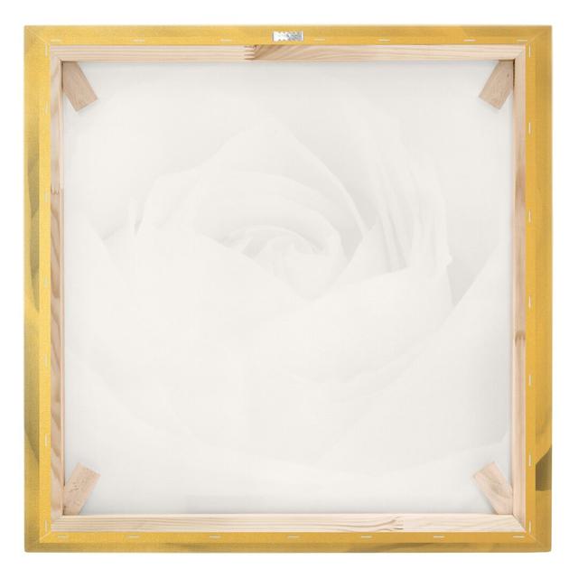 Black and White Close Up Rose Wall Art on Canvas Ebern Designs Format: 260g/m² canvas, Size: 80cm H x 80cm W, Frame Option: Gold/Black on Productcaster.