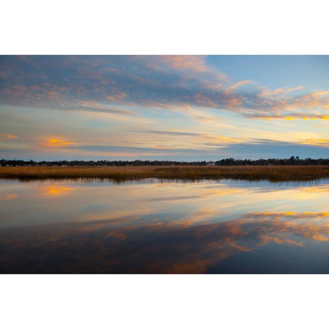 South Carolina Marsh by DaveAlan - Wrapped Canvas Print Alpen Home Size: 30cm H x 46cm W x 3.8cm D on Productcaster.