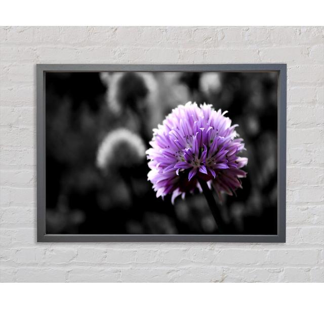 Purple Flower On Black And White Background - Print Ebern Designs Size: 59.7cm H x 84.1cm W 3.3cm D on Productcaster.