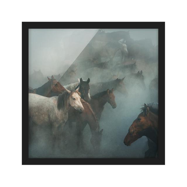 Wild Horses - Picture Frame Graphic Art Union Rustic Size: 50cm H x 50cm W x 2cm D, Frame Option: Black Framed on Productcaster.