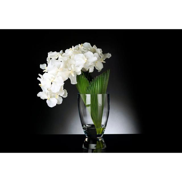 Orchid Palmitos Floral Arrangement in Vase (Set of 2) The Seasonal Aisle on Productcaster.