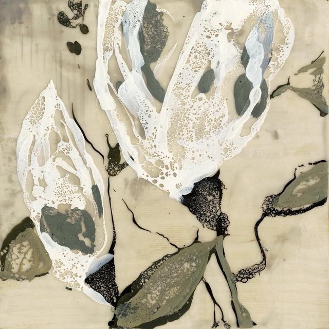 Flower Pods II by Jennifer Goldberger - Wrapped Canvas Print Rosalind Wheeler Size: 122cm H x 122cm W on Productcaster.