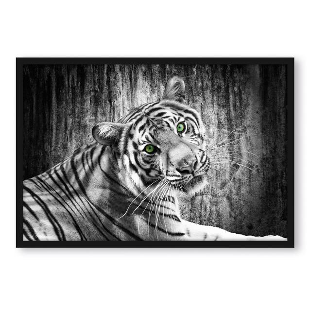 Gerahmtes Poster Schöner Neugieriger Tiger ModernMoments Größe: 80 cm H x 60 cm B x 2.5 cm T on Productcaster.