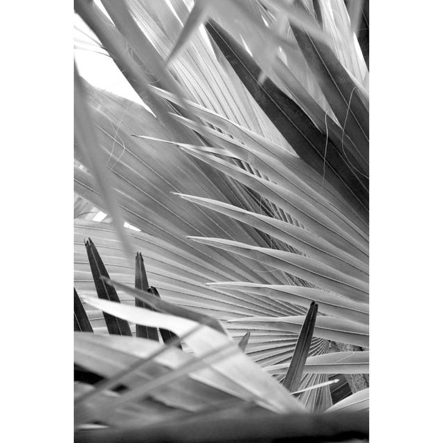 Monochrome Image of Dramatic by Holcy - Wrapped Canvas Photograph Bay Isle Home Size: 46cm H x 30cm W on Productcaster.