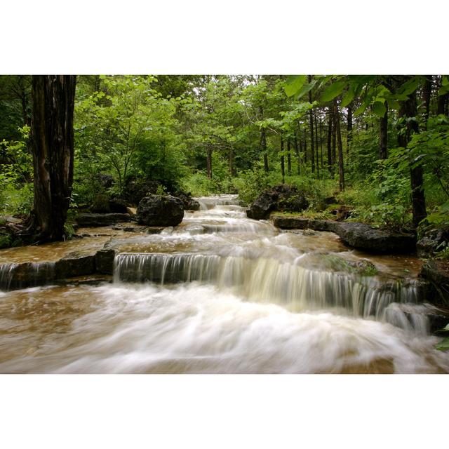 Canyon Creek Rapids In A Green Forest Union Rustic Size: 20cm H x 30cm W x 3.8cm D on Productcaster.