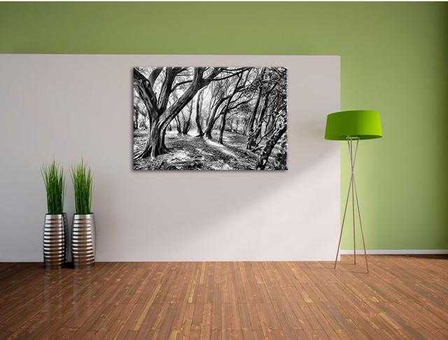 Leinwandbild Wald in Monochrom East Urban Home Größe: 80 cm H x 120 cm B on Productcaster.