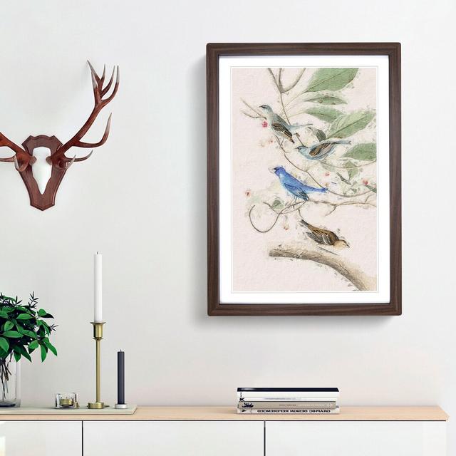 Indigo Birds by John Audubon - Picture Frame Painting Print East Urban Home Size: 36cm H x 27cm W x 2cm D, Frame Option: Walnut Framed on Productcaster.