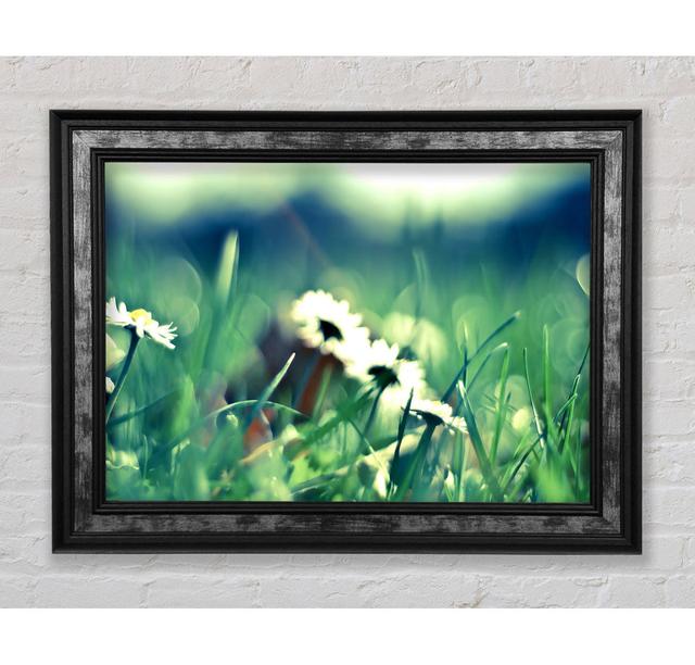 Daisies And Grass - Print Bright Star Size: 21cm H x 42cm W x 8cm D on Productcaster.