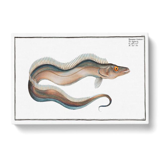 Sword-Fish by M.E. Bloch - Wrapped Canvas Art Print East Urban Home Size: 40cm H x 60cm W x 3cm D on Productcaster.