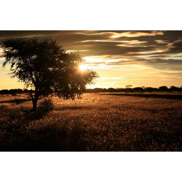 Sunset In Botswana by Wayne10810 - Print 17 Stories Size: 20cm H x 30cm W on Productcaster.