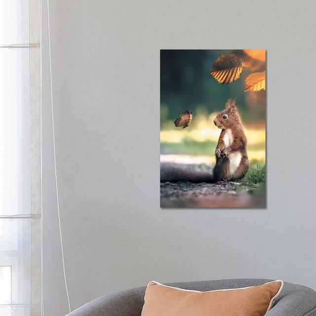 Squirrel Butterfly by Zenja Gammer - Photograph Print on Canvas Alpen Home Format: Wrapped Canvas, Size: 66.04cm H x 45.72cm W x 3.81cm D on Productcaster.