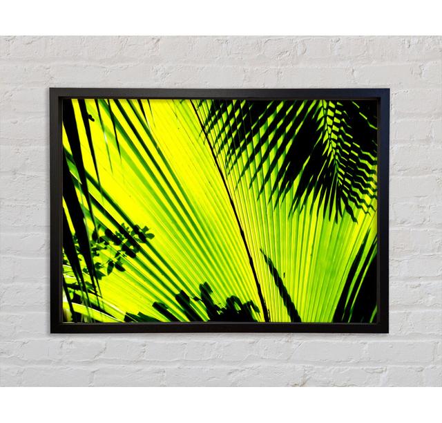 Lime Palm Tree - Single Picture Frame Art Prints on Canvas Bright Star Size: 84.1cm H x 118.9cm W x 3.3cm D on Productcaster.