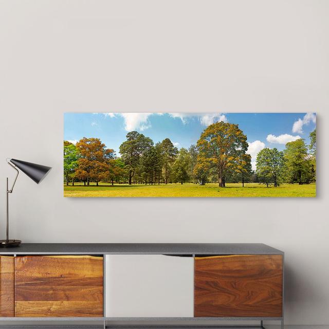 Trees in a Park - Unframed Photograph Print on Canvas Ebern Designs Size: 40cm H x 120cm W x 4cm D on Productcaster.