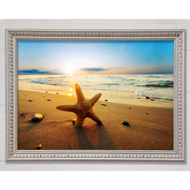 Starfish Sun Glow - Einzelner Bilderrahmen Kunstdrucke Bright Star Größe: 42 cm H x 59,7 cm B x 3 cm T on Productcaster.