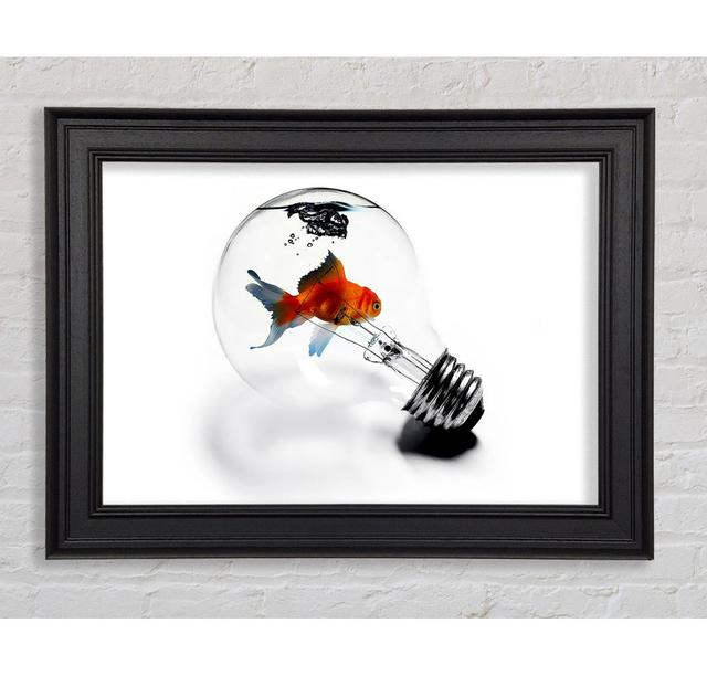 Goldfish Light Bulb Framed Print Happy Larry Size: 59.7cm H x 84.1cm W on Productcaster.