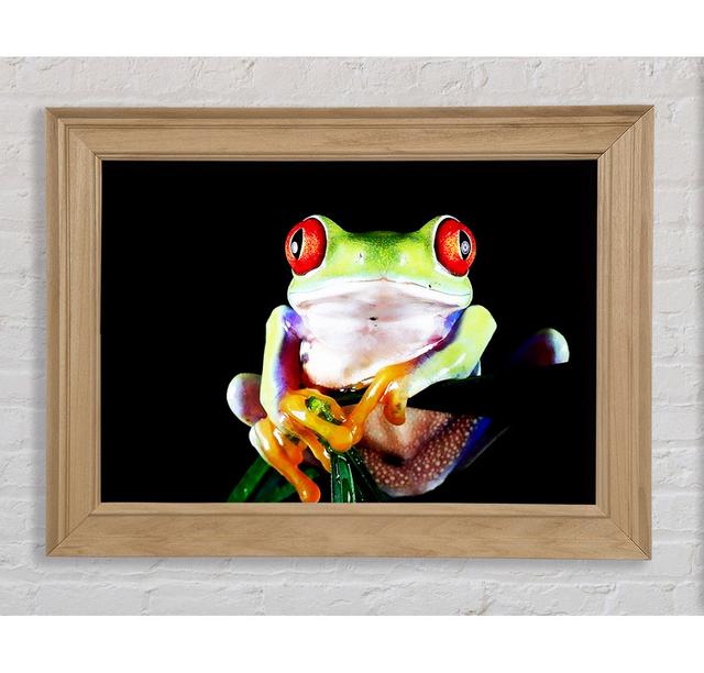 Single Picture Frame Art Prints Bright Star Size: 100cm H x 141.4cm W on Productcaster.