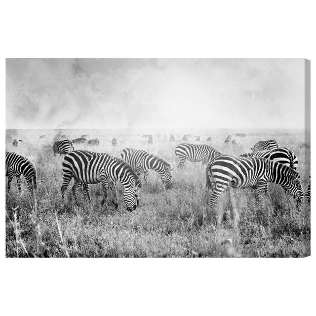 Wrapped Canvas Print Oliver Gal Size: 61 cm H x 91 cm W x 4 cm D on Productcaster.