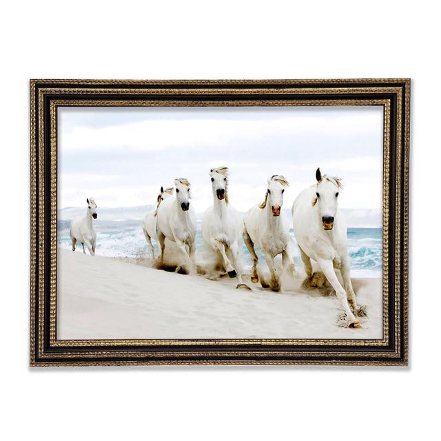 White Ocean Horses Framed Print Highland Dunes Size: 42cm H x 59.7cm W x 3cm D on Productcaster.