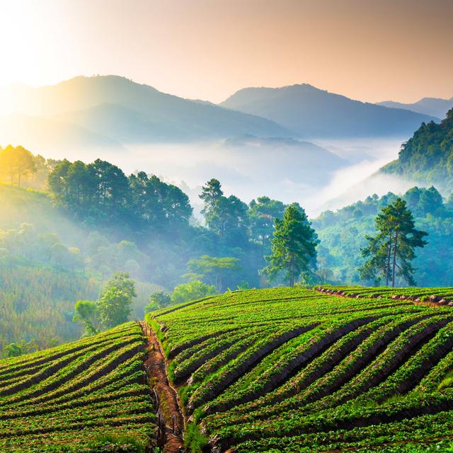 Misty Morning Mountains by Primeimages - No Frame Art Prints on Canvas Alpen Home Size: 91cm H x 91cm W on Productcaster.